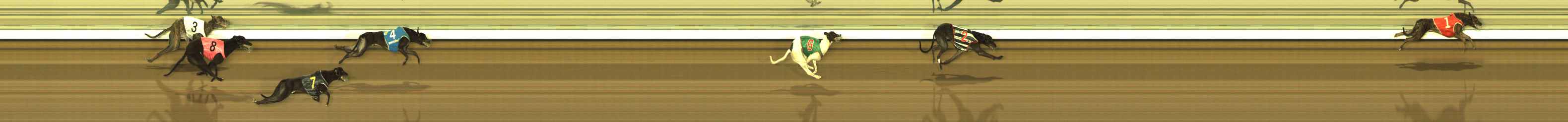 Race result finish photo